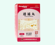 恒乐泰逍遥丸(浓缩丸)价格对比 216丸