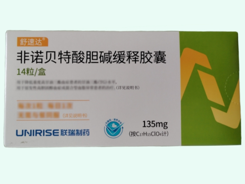 非诺贝特酸胆碱缓释胶囊