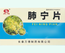 肺宁片价格对比 64片 双佰