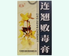 连翘败毒膏价格对比 120g 美伦