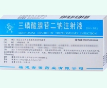 三磷酸腺苷二钠注射液价格对比 10支 迎春