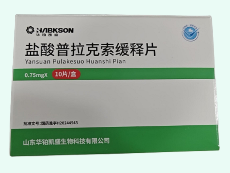 盐酸普拉克索缓释片