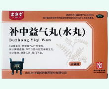 宏济堂补中益气丸价格对比