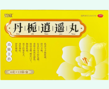 恩威丹栀逍遥丸价格对比 13袋