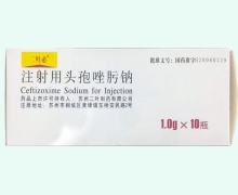 二叶必注射用头孢唑肟钠价格对比 1g*10瓶