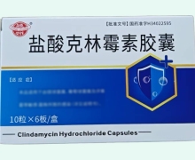 盐酸克林霉素胶囊价格对比 60粒 颍州
