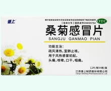 德上桑菊感冒片价格对比 48片