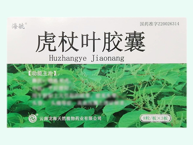 虎杖叶胶囊