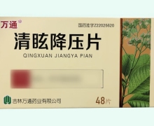 清眩降压片价格对比 48片 万通