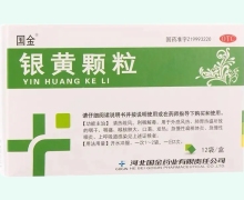 银黄颗粒价格对比 12袋 国金药业
