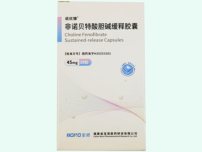 非诺贝特酸胆碱缓释胶囊