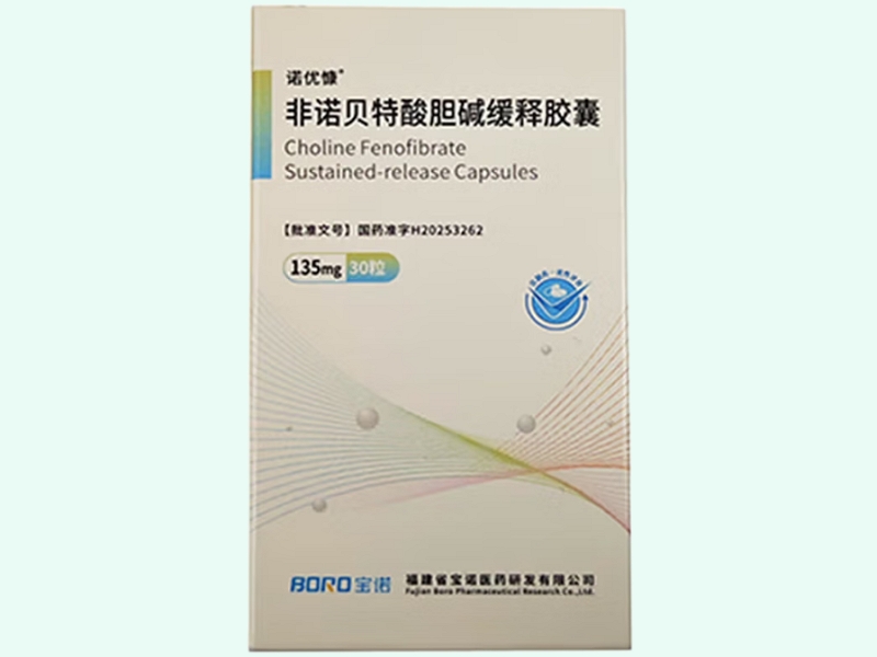 非诺贝特酸胆碱缓释胶囊