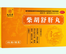 九芝堂柴胡舒肝丸价格对比 6丸