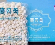 西藏古方中医药研究有限公司的藏贝母多少钱？