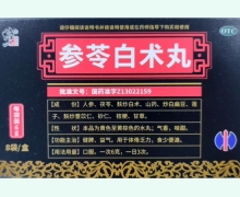 修正参苓白术丸价格对比 8袋 河北凯诺