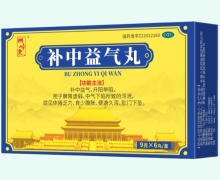 桐岭堂补中益气丸价格对比 6丸