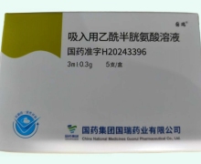 吸入用乙酰半胱氨酸溶液价格对比 国药集团