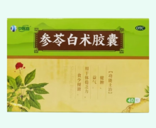 中医森参苓白术胶囊价格对比 40粒