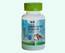 宝健牌破壁灵芝孢子粉胶囊价格对比 90粒
