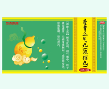 双龙出海藿香正气丸价格对比 48丸