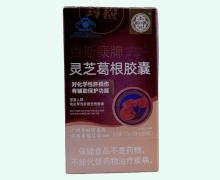 盛初颜百斯康牌灵芝葛根胶囊价格对比