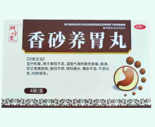 桐岭堂香砂养胃丸价格对比 4袋
