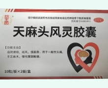 药王田天麻头风灵胶囊价格对比 20粒