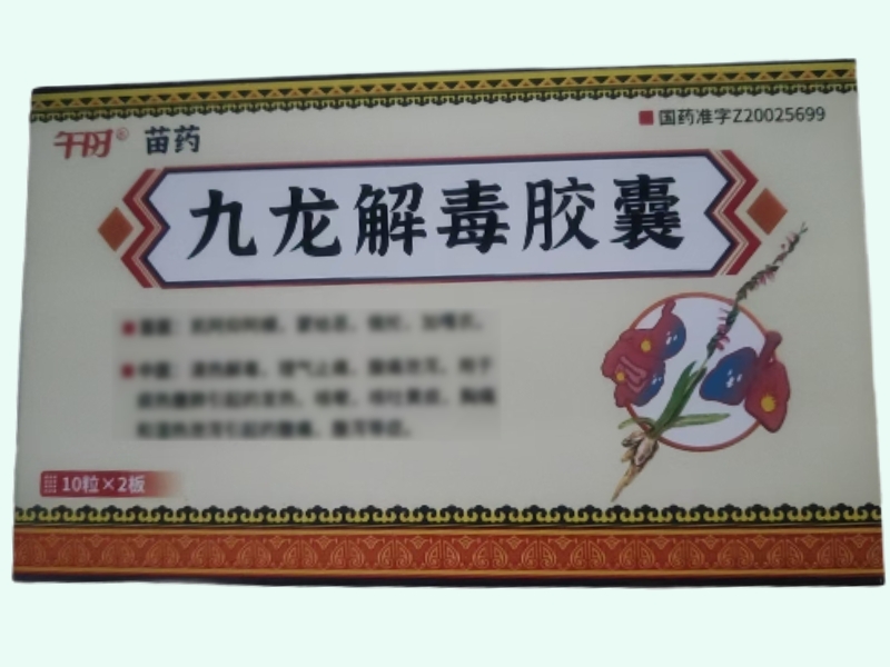 九龙解毒胶囊