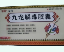 九龙解毒胶囊价格对比 20粒