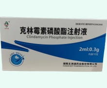 五洲通克林霉素磷酸酯注射液价格对比 0.3g*10支