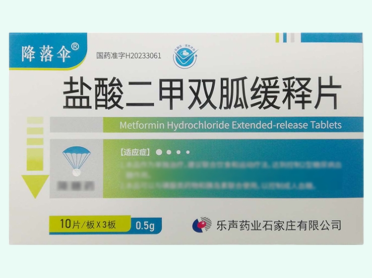 盐酸二甲双胍缓释片