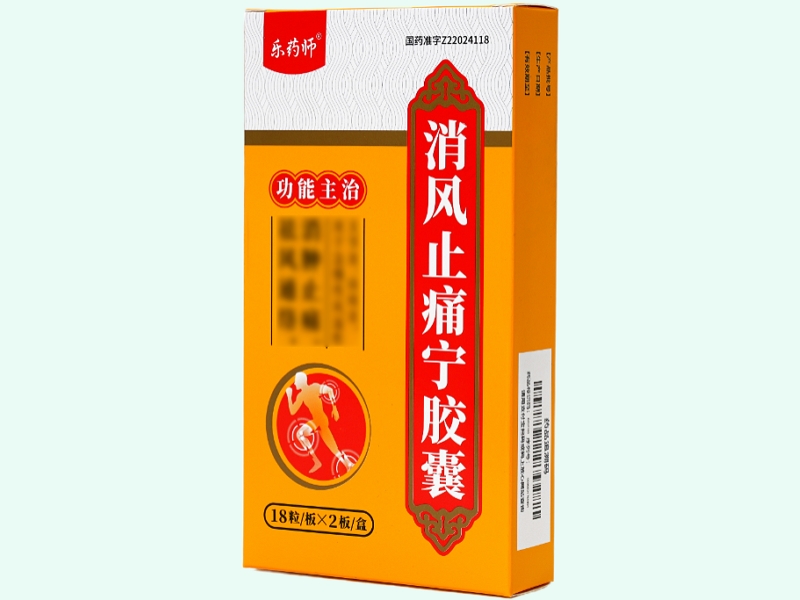 消风止痛宁胶囊