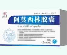九芝堂阿莫西林胶囊价格对比 18粒
