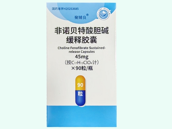 非諾貝特酸膽堿緩釋膠囊