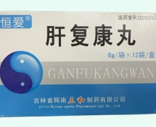 肝复康丸价格对比 12袋 恒爱