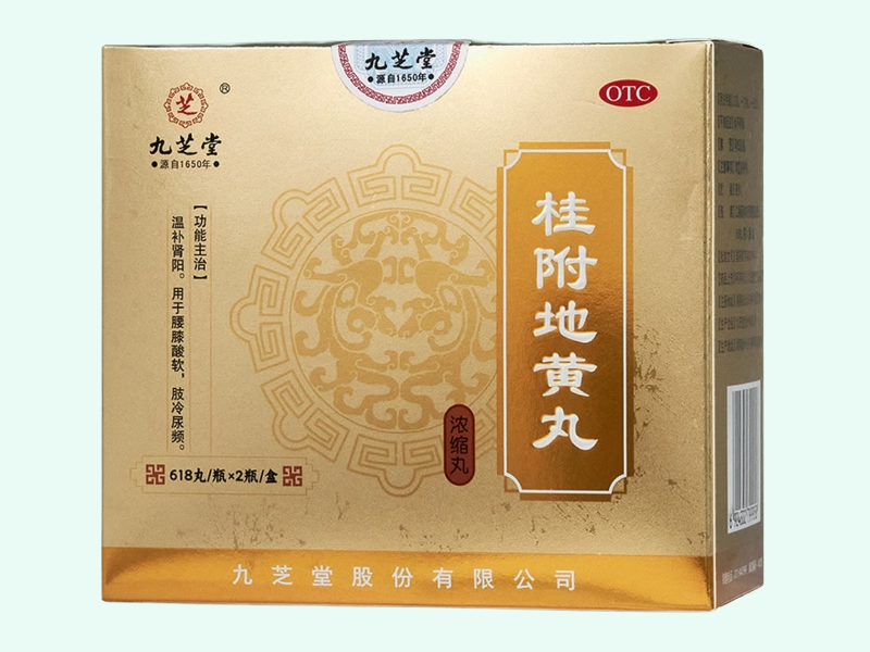 桂附地黄丸(浓缩丸)