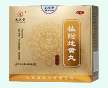九芝堂桂附地黃丸價(jià)格對(duì)比 1236丸 濃縮丸