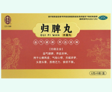 雷允上归脾丸价格对比 9袋