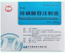 环磷腺苷注射液价格对比 40mg*5支 韦安