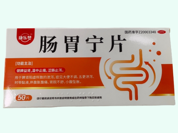 肠胃宁片