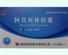 阿莫西林胶囊价格对比 0.25g*30粒 阿莫棒