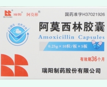 阿莫西林胶囊价格对比 0.25g*50粒 瑞阳制药