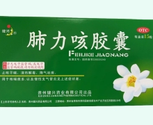 肺力咳膠囊價格對比 15粒 OTC版