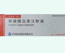 速秀霖筆芯價(jià)格對(duì)比 賴脯胰島素注射液