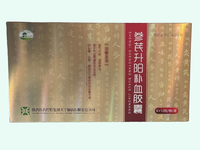 参芪升阳补血胶囊