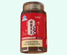 玄儒堂冠芝皇牌破壁靈芝孢子粉價格對比