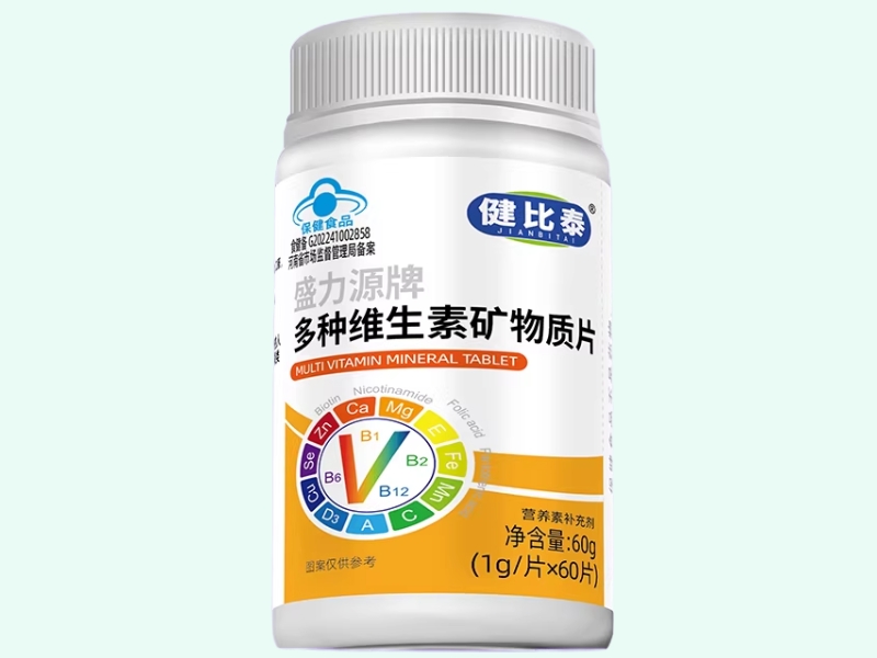 盛力源牌多种维生素矿物质片