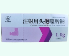 注射用头孢噻肟钠价格对比 华北制药 1g*10瓶