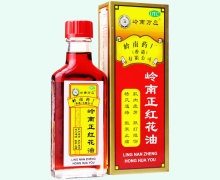 岭南正红花油(岭南万应)价格对比 30ml