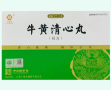 广誉远牛黄清心丸(局方)价格对比 6丸